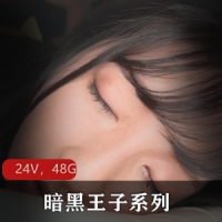 暗黑王子系列24部无水印合集