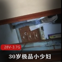 30岁极品小少妇清纯少妇致命YH [28V-3.7G]